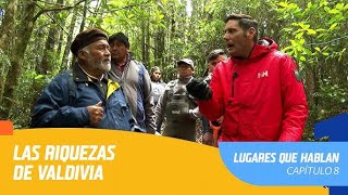 Lugares que Hablan  Temporada 2020  Capítulo 8  Valdivia [upl. by Jacobsohn]