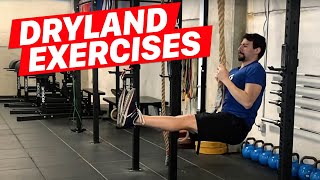 Dryland Exercises for Swimmers [upl. by Norry]