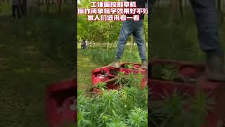 Remote control lawn mower lawn mower orchard weeding weed removal weed removal tool 57 [upl. by Morell106]