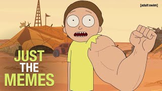 Just the Memes  Rick and Morty  adult swim [upl. by Aidualk]