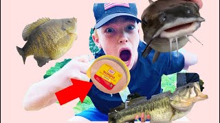 What Can You Catch Using BOLOGNA 🐟massive catfishviral fishing jesus fjb jacoboutdoors [upl. by Frederigo]