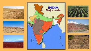 Class 10 SST Geography Chapter 1  Classification of Soils  Resources and Development 202223 [upl. by Kirkpatrick462]