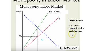 Monopsony Labor Market [upl. by Yhtamit988]