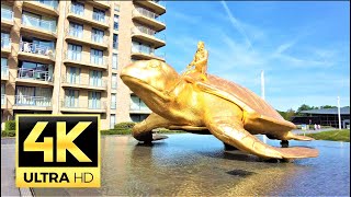 Nieuwpoort 🇧🇪 Belgium 🇧🇪 4K 60fps city and beach promenade 4K UHD [upl. by Hanleigh]