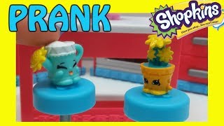 Shopkins Prank Shopkin Videos by Shopnow [upl. by Sessilu]