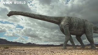 The Colossal Tambatitanis  DINOSAURS [upl. by Anib]