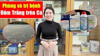 PHÒNG VÀ TRỊ BỆNH ĐỐM TRẮNG TRÊN GAN Ở CÁ [upl. by Nosnah]