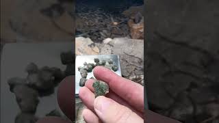 Radioactive Trinitite Trinity Site White Sands NM quotGreen Glassquot [upl. by Aym]