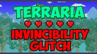 Terraria 14 Invincibility Glitch  God Mode In Terraria [upl. by Anatol693]