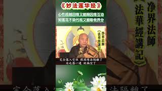 心性超越因缘又跟因缘互动 如莲花不染污泥又能从中吸收养分  净界法师《法华经讲记》采撷 学佛 [upl. by Eiramnna]