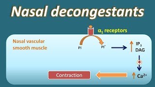 Nasal decongestant  How they act [upl. by Claretta]