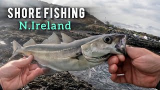 Shore Fishing County Antrim ☘️ [upl. by Amlas]