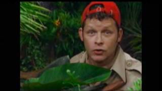 Imagination Movers  Jungle Room [upl. by Prince817]