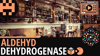 Aldehyd Dehydrogenase│Chemie Lernvideo│Learning Level Up [upl. by Htebzil]