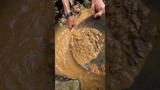 the process of extracting gold under rocks between tree roots [upl. by Aronel]