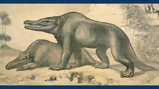 The Discovery Of Megalosaurus  The First Dinosaur [upl. by Halley]