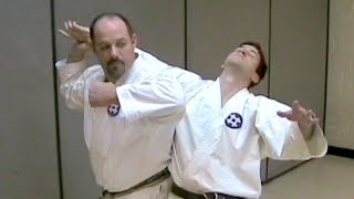 One Minute Bunkai Seisan Bunkai Series Part 3 [upl. by Talbert]