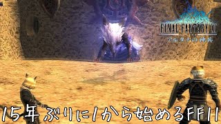 VSフェンリル FF11 アルタナの神兵編 44  魂の果て 前編 [upl. by Serra]