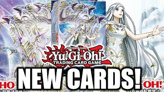 NEW BLUEEYES WHITE DRAGON CARDS  YuGiOh Structure Deck [upl. by Anaele]