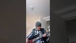 The Police Walking On The Moon bass cover [upl. by Ecyac]