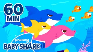 Baby Shark Doo Doo Doo 60 Min  Compilation  Baby Shark Remix  Baby Shark Official [upl. by Kara-Lynn]