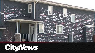 CityNews Connect Can Calgary build hail proof homes [upl. by Anni]