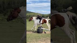 люблюлошадей врек horse action horseshow equestrian edit how stallion лошади horsestance [upl. by Enoitna]