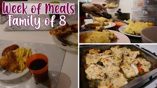 Week of Meals for a Family of 8  Family Dinners Meal Ideas  Shamsa [upl. by Savanna]