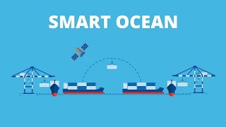 Hellmann Worldwide Logistics Smart Ocean [upl. by Dor]