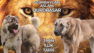 Azərbaycanın Aslanı  QURDBASAR  3 Min İllik Tarix [upl. by Augustina]