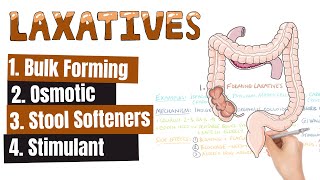 LAXATIVES What Are The Different Kinds of Laxatives When To Use Different Kinds of Laxatives [upl. by Hertberg]