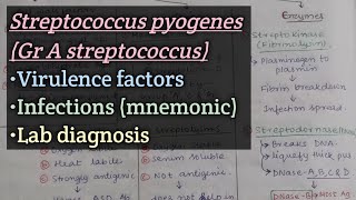 Streptococcuspart2 Group A streptococcus  Virulence factors  Clinical features  Lab diagnosis [upl. by Eilraep]