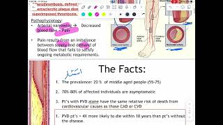 Peripheral vascular disease part 1 باطنية [upl. by Raybin]