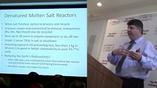 David LeBlanc of Terrestrial Energy on Denatured Molten Salt Reactors  TEAC5 [upl. by Yeltihw413]