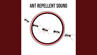 Ant Repellent Sound [upl. by Obaza836]