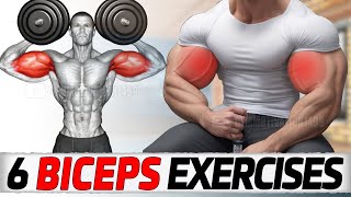 6 MAGIC Exercises to Get Huge Biceps [upl. by Nitsuj133]