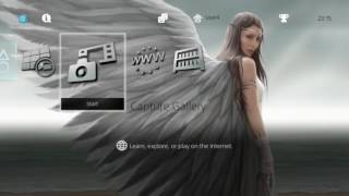 Anne Stokes Spirit Guide  PlayStation 4 Dynamic Theme [upl. by Scever]