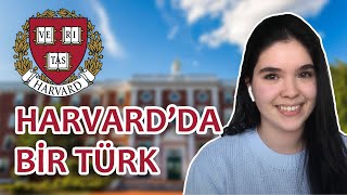 HARVARDA NASIL GİRİLİR  Zengin Olmayanlar da Harvardda Okuyabilir Mi [upl. by Aker]