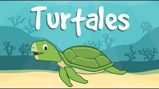 Turtales Animation  Pawikan Conservation Center in Morong Bataan Sea Turtles [upl. by Velma]