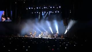 Creedence Clearwater Revisited  Molina Live at Palacio de los Deportes CDMX México 2020 [upl. by Iad]