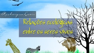 Relações Ecológicas [upl. by Murtagh563]