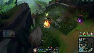 riven vs chogath 600 lp gm 542 win [upl. by Assilanna]