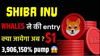 Shiba inu क्या जाएगा 1 😱 big burning done 🔥 Shiba inu coin l Shiba inu news today hindi l crypto [upl. by Irah28]