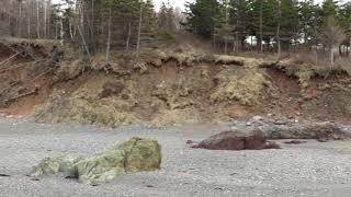 Arisaig Antigonish NS April 21 2019 [upl. by Mimajneb]