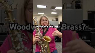 Should it be called a woodwind 🤔 banddirector band woodwind flute brass clarinet trumpet [upl. by Ettennahs]