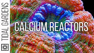 Calcium Reactors Explained [upl. by Hollis]