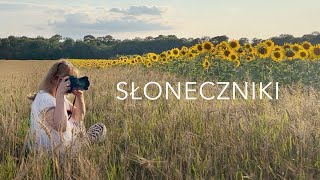 Pole słoneczników – drugi film tylko o kwiatach [upl. by Borroff]