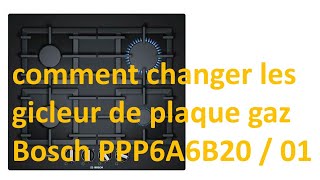 comment changer les gicleur de plaque gaz Bosch PPP6A6B20  01 [upl. by Anaeed]