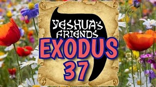 Bible Reading on Exodus 37 CJB Version [upl. by Kamin]