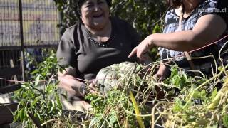 El proyecto Ecobarrio en la población 4 Álamos Maipú Chile [upl. by Ahsina]